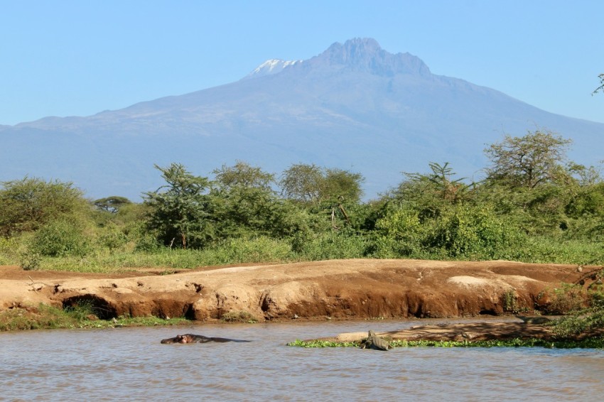 a body of water with trees and a mountain in the background