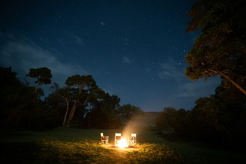 people standing on green grass field during night time