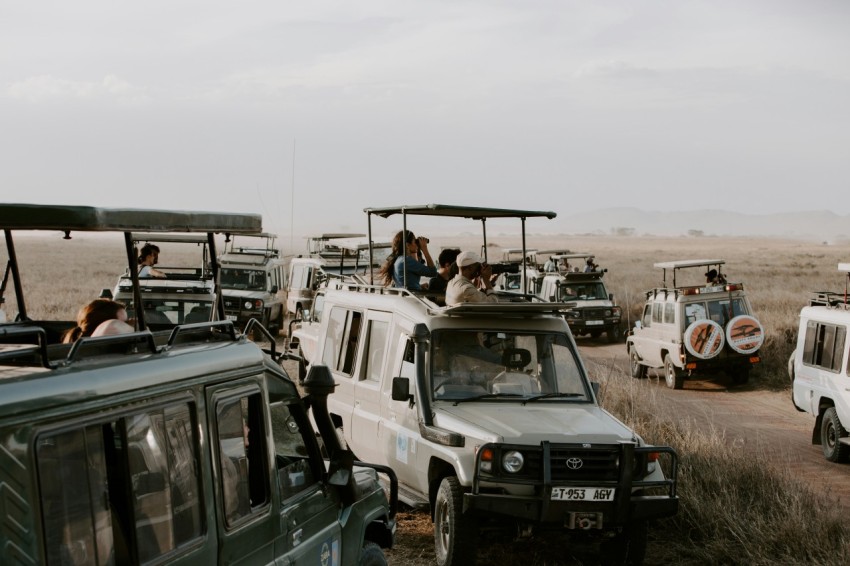 white and blue jeep wrangler on brown field during daytime