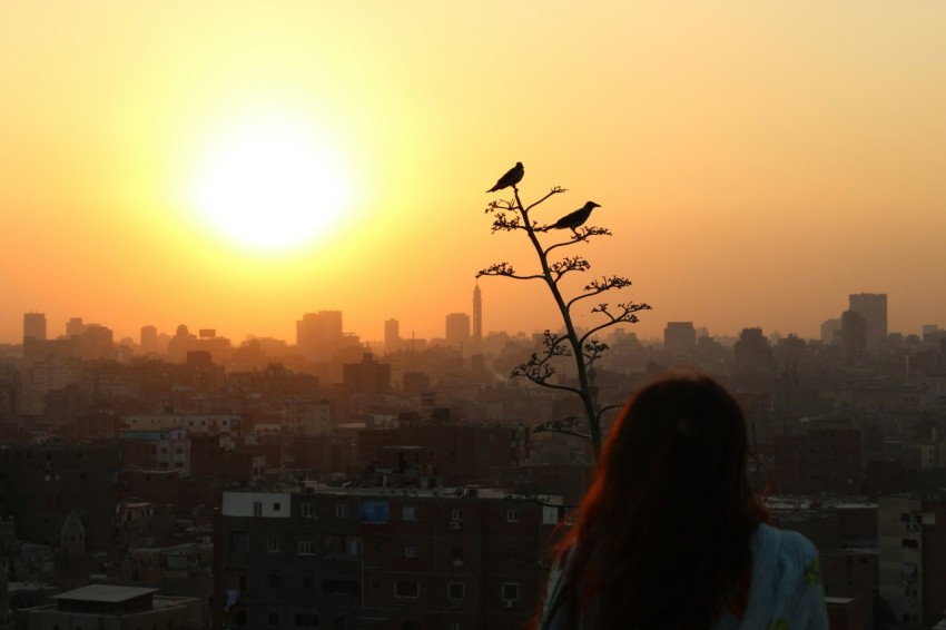 woman in black long sleeve shirt standing on top of building during sunset F6xz3hiF