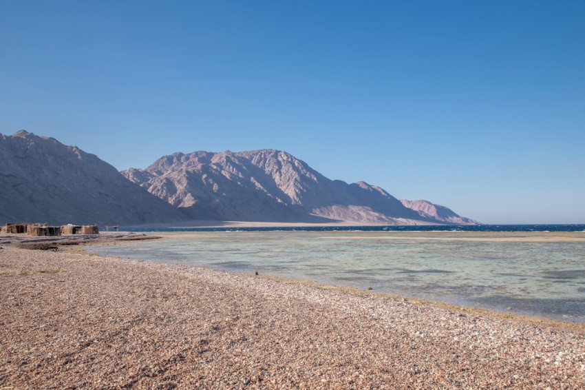 a rocky beach with a body of water and mountains in the background