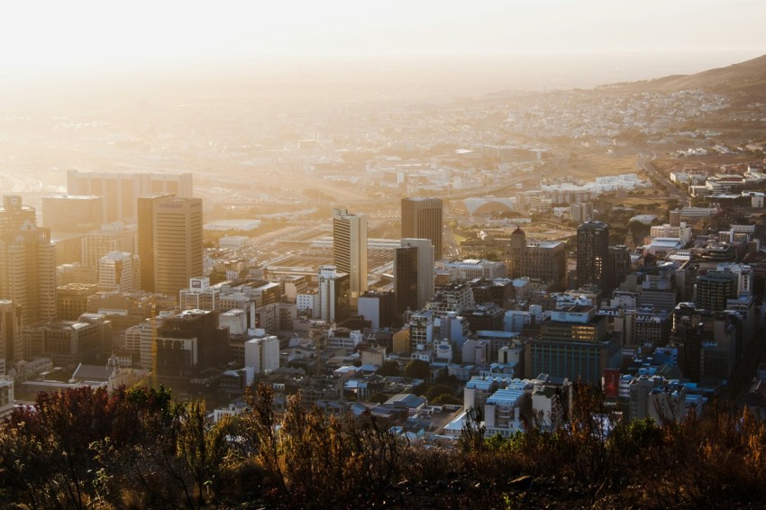 birds eye view photography of city