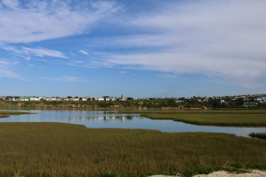 a large body of water surrounded by a lush green field 8gpRjZ8