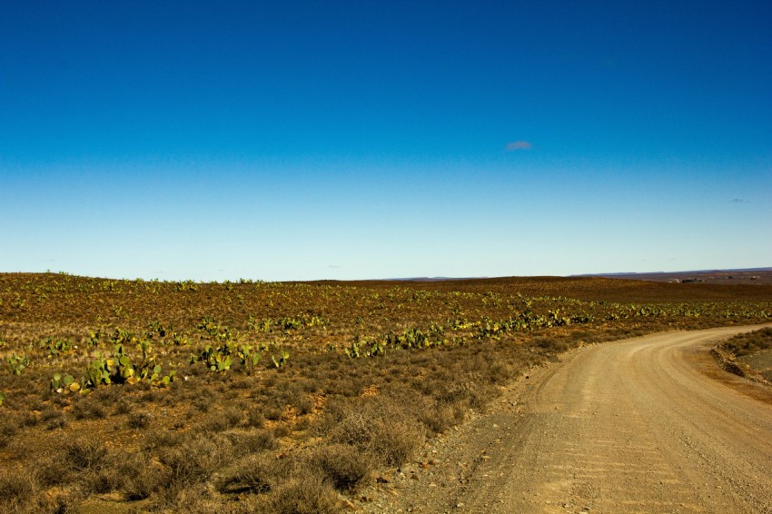 brown dirt road between green grass field under blue sky during daytime