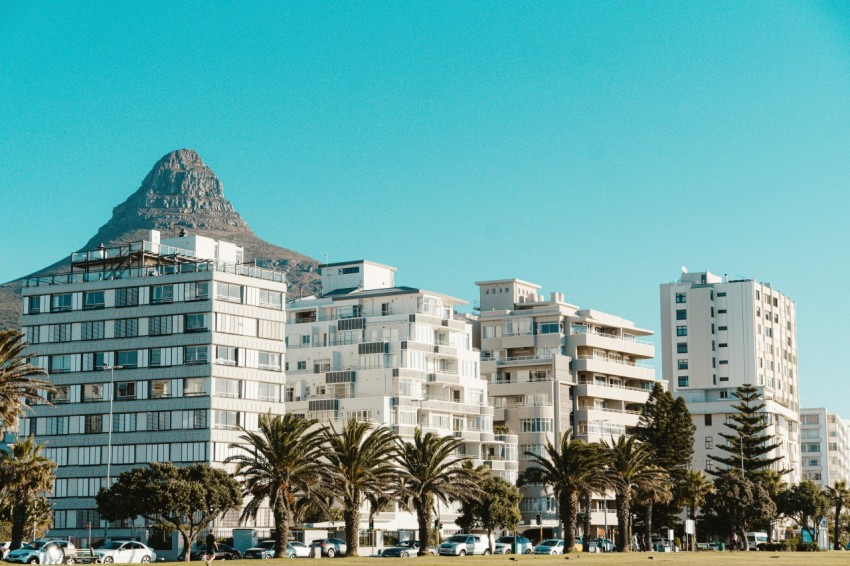 a group of buildings with palm trees in front of them