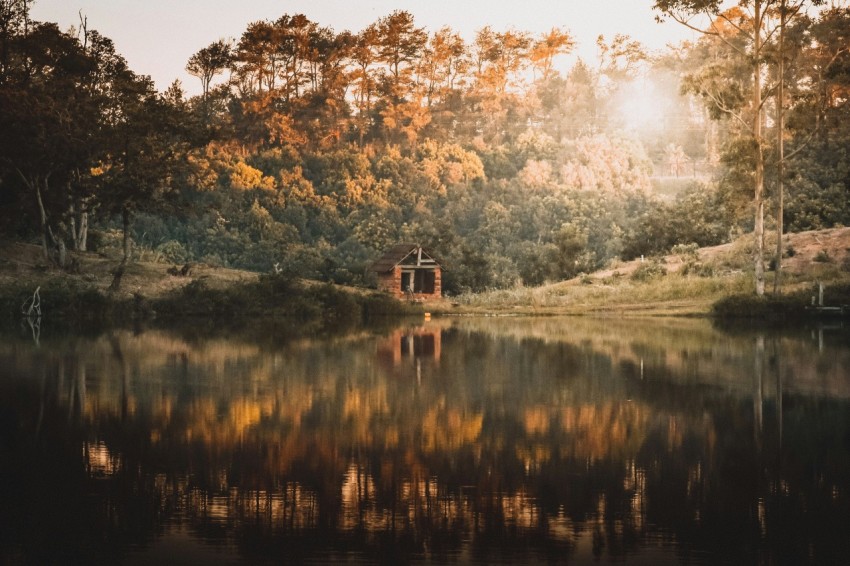 a body of water surrounded by trees and a forest