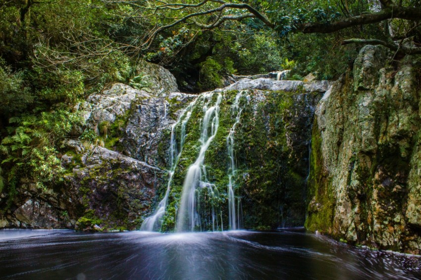 waterfall and mountain with trees