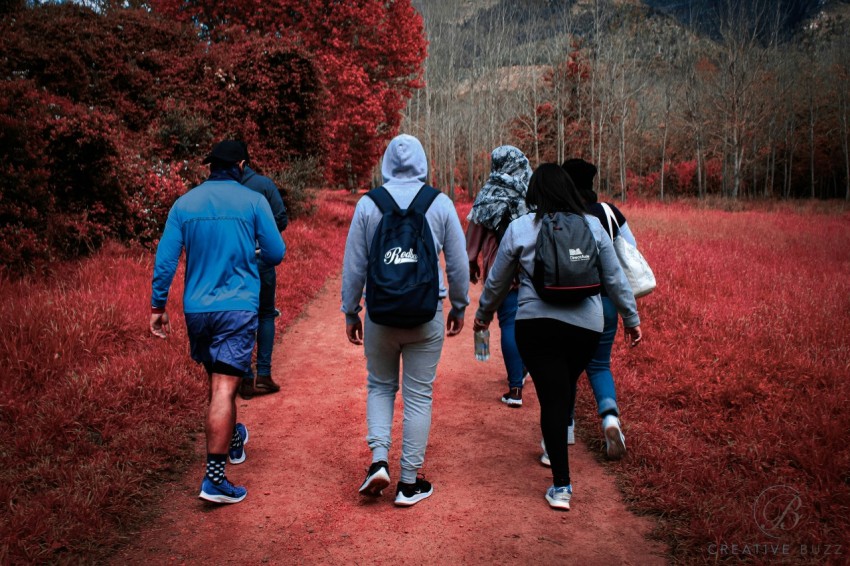 a group of people walking on a path in the woods