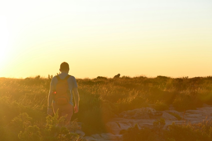 a man standing in a field at sunset