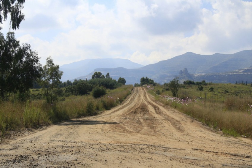 a dirt road in the middle of a field