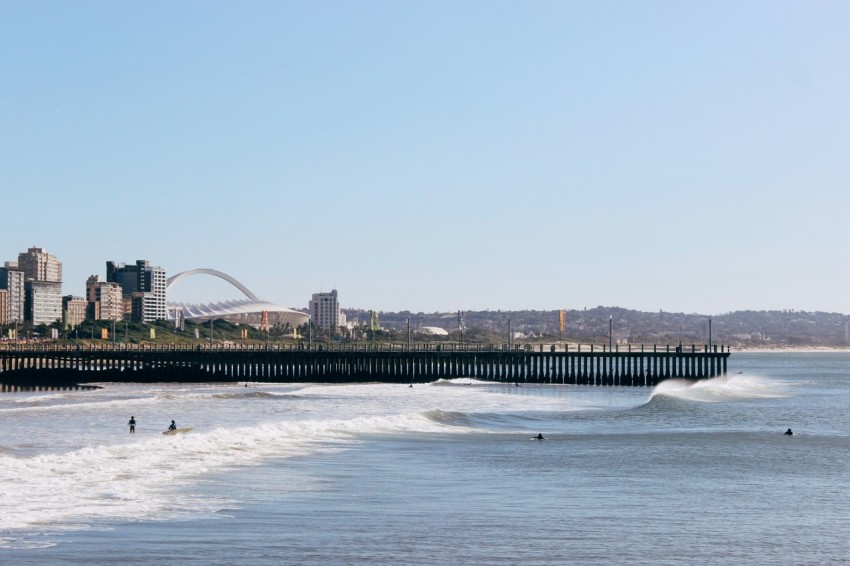 a group of people surfing in the sea