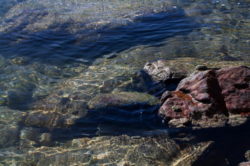 rocks in the water