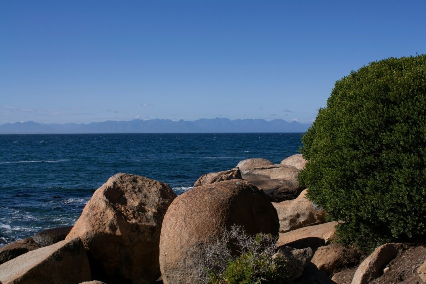 a rocky shoreline with a body of water in the background