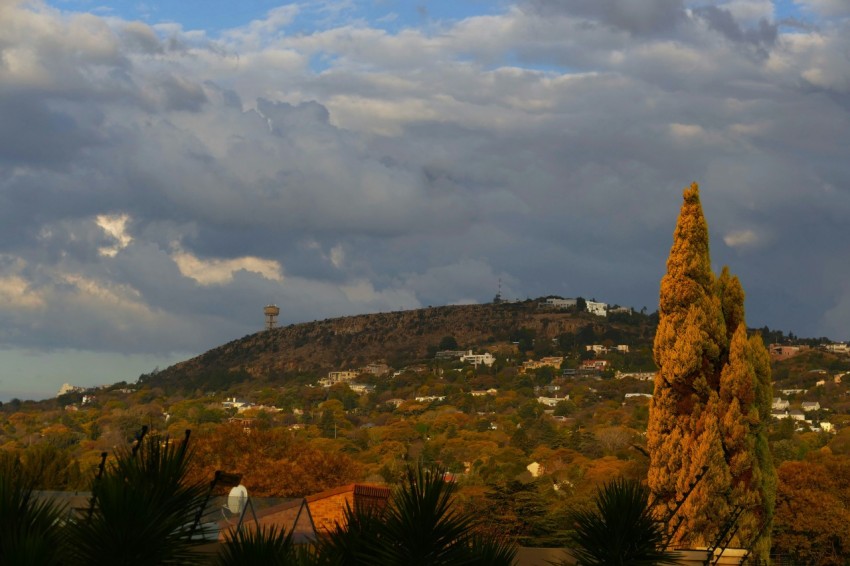 a hill with trees and buildings on it