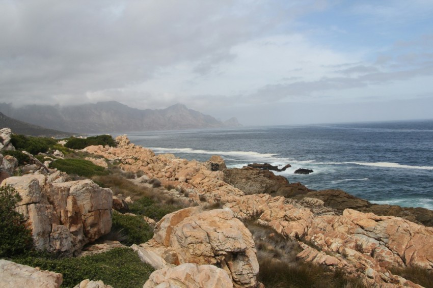 brown rocky shore near body of water during daytime