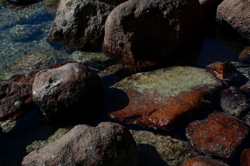 a group of rocks