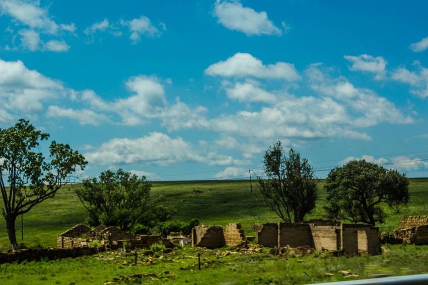 a grassy field with trees and a building 7vsc7AwkE