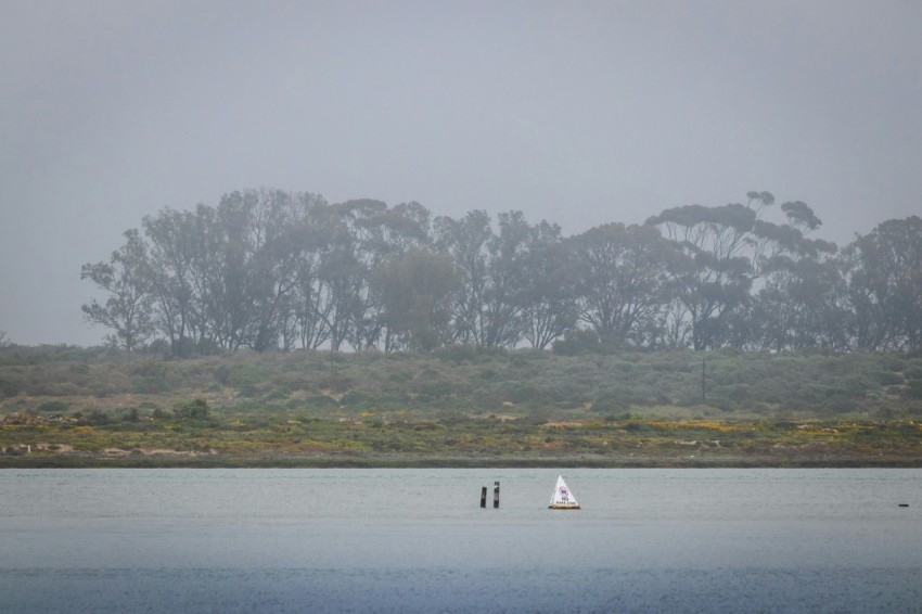 white boat on body of water near green grass field during daytime