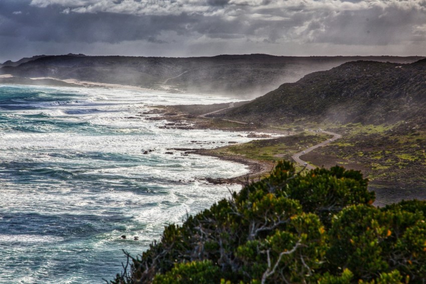 a scenic view of the ocean from a hill