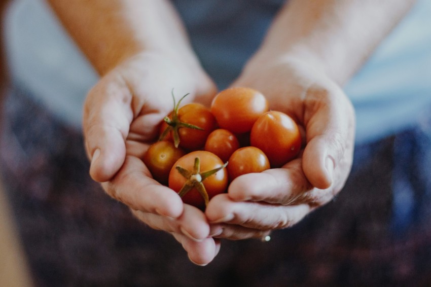 person holding red and green tomatoes