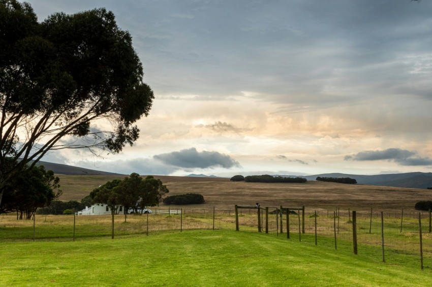 a fenced in field with trees and hills in the background