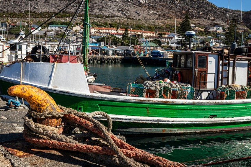 a green and white boat docked in a harbor