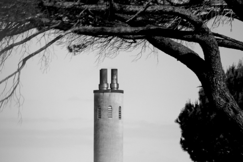 a tree next to a lighthouse IwGsQvHXB