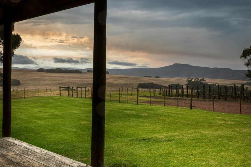 a fenced in field