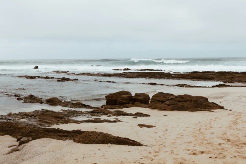 brown rocks on beach during daytime