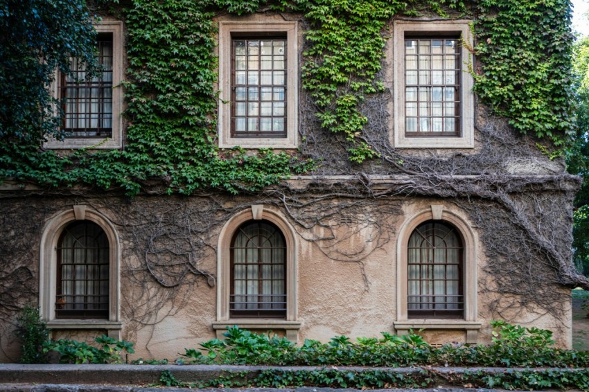 a building with ivy growing on the side of it