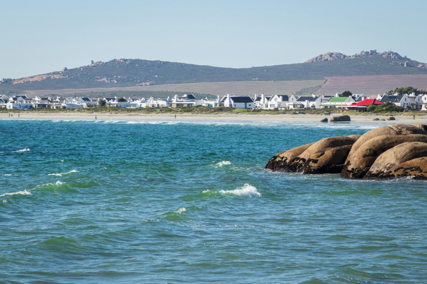 a body of water with a bunch of animals in it