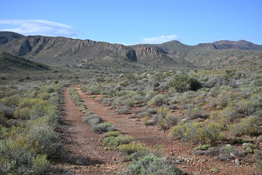 a dirt road in the middle of a desert