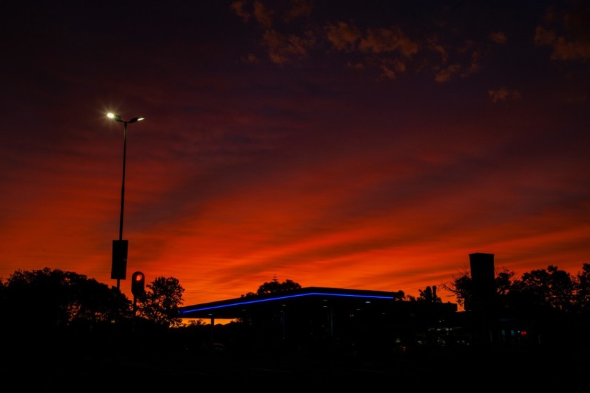 silhouette of trees and buildings during sunset