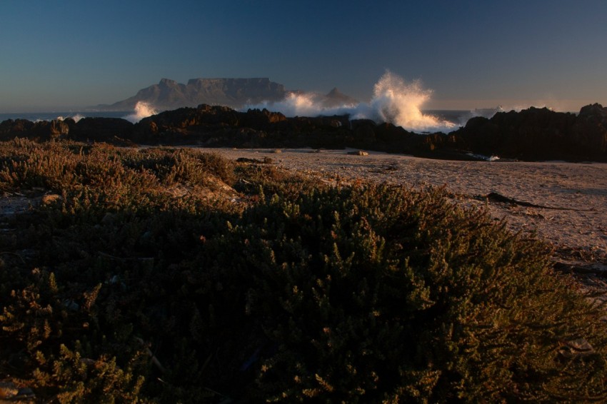 a view of a beach with waves crashing in the background