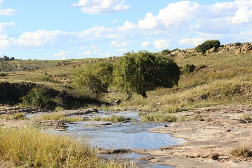 a river running through a grassy area