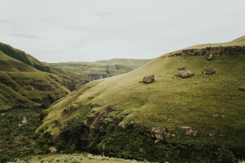 a lush green hillside covered in lots of grass