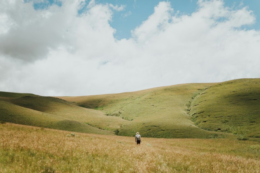 a person walking through a field of tall grass