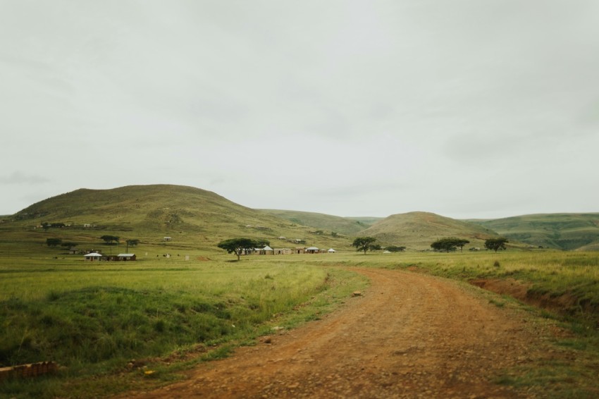 a dirt road in the middle of a grassy field