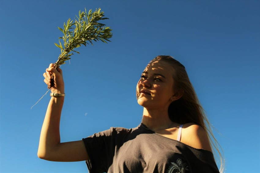 woman in black shirt holding green plant during daytime