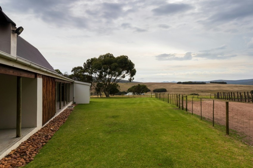 a fenced in yard with a tree and a house