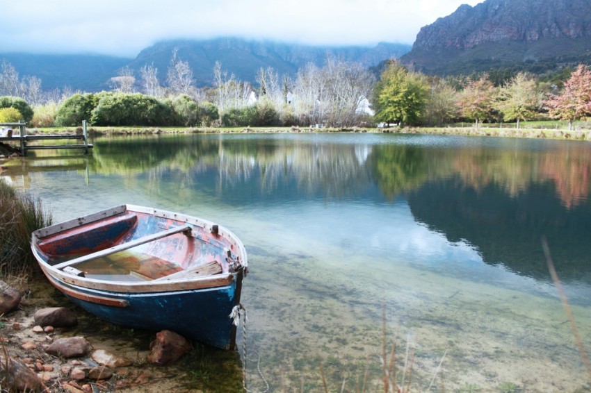 white and brown boat on lake during daytime