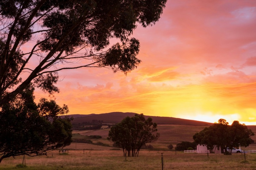 a landscape with trees and a sunset