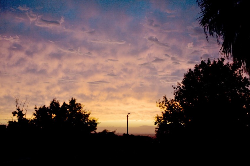 a sunset with clouds and trees in the foreground