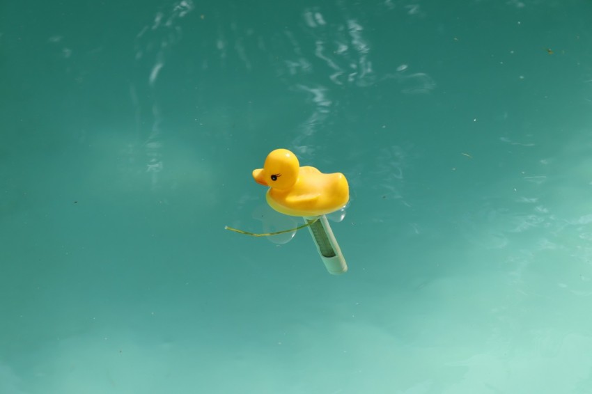 a yellow rubber duck floating in water