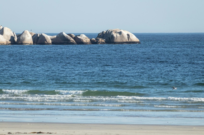 a person walking on the beach with a surfboard o