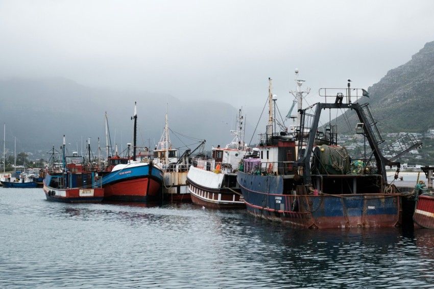 a group of boats in a harbor