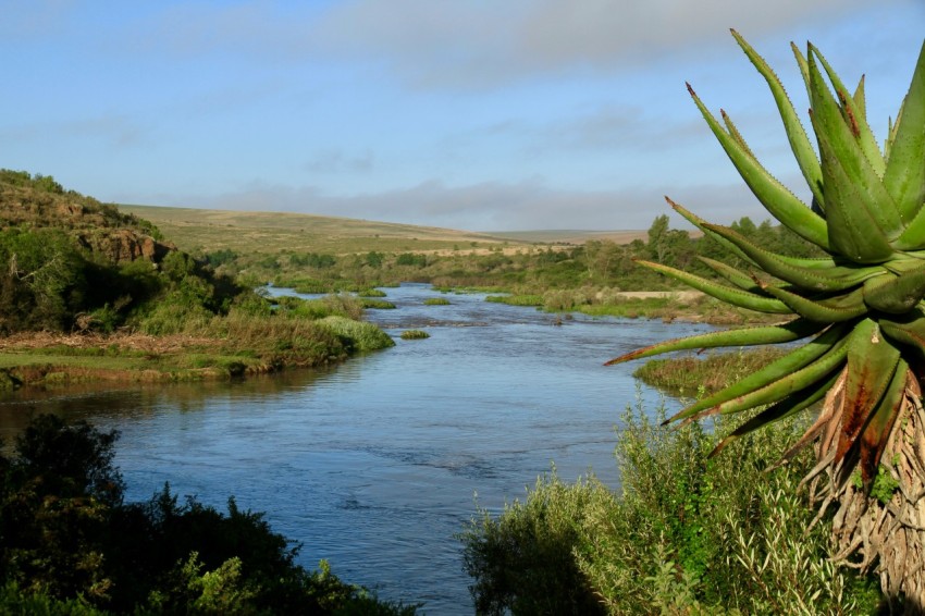 a river running through a lush green countryside o7GB0Vn7_