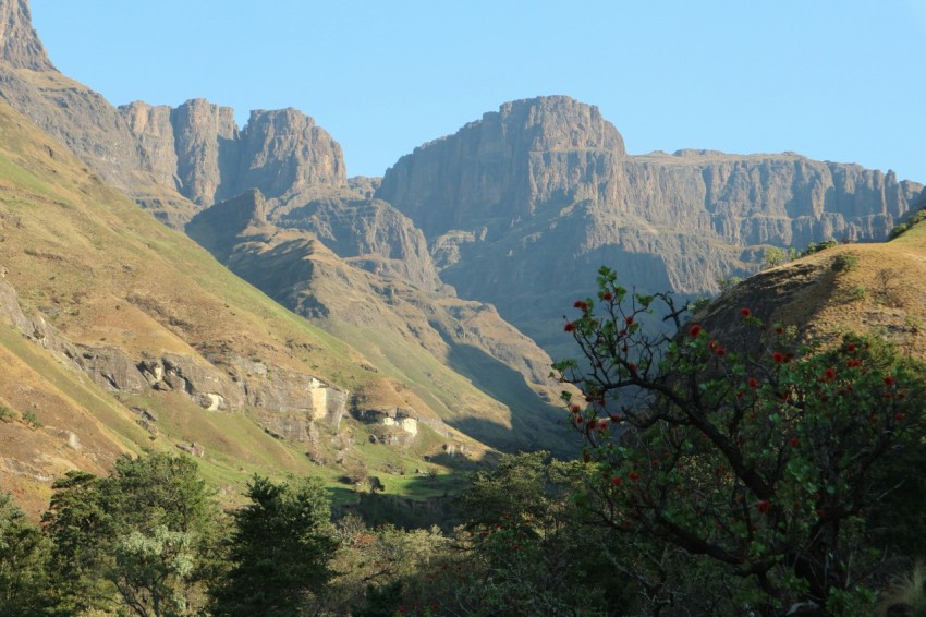 a view of a mountain range with a valley in the foreground