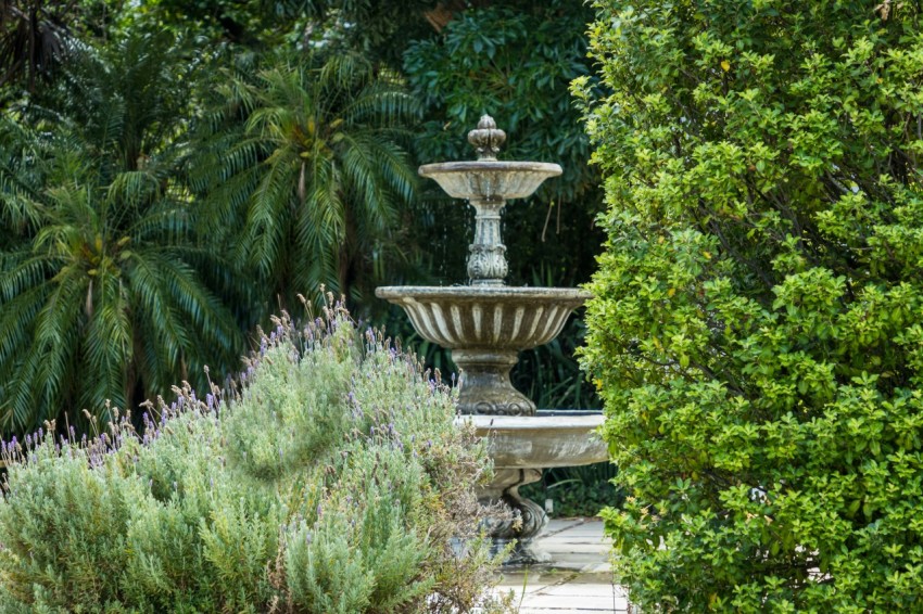 a fountain in a garden