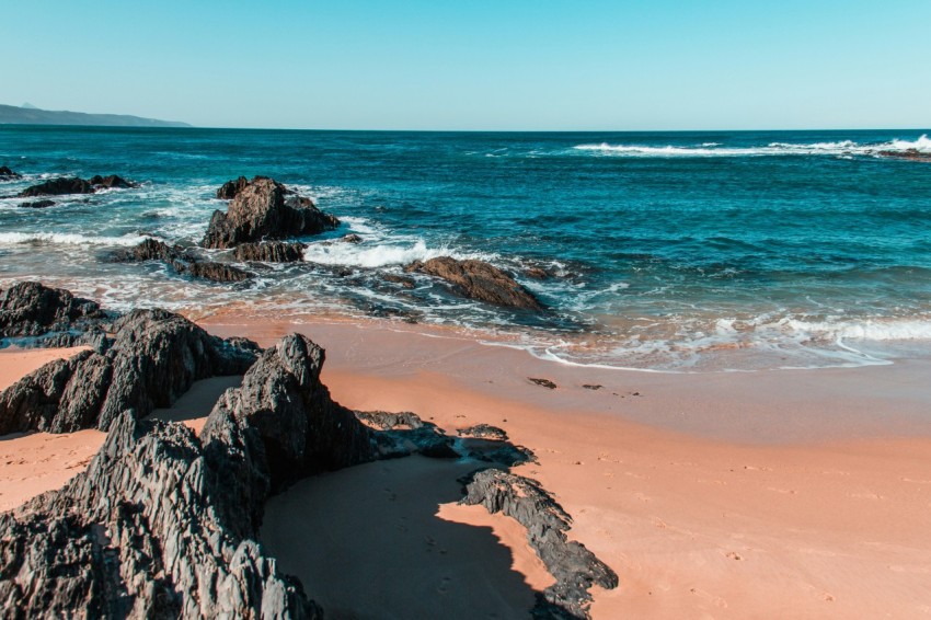 brown sand beach during daytime